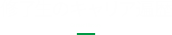修了生のキャリア遍歴